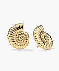 Ammonite Oversized Studs