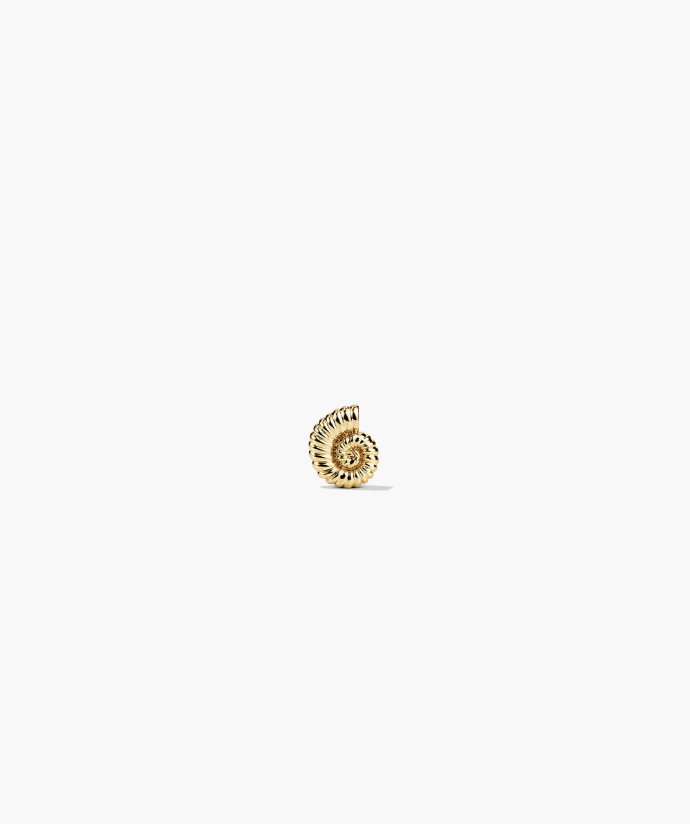 Ammonite Mini Studs