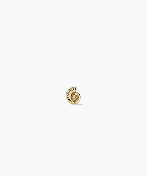Ammonite Mini Studs