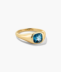 Polished Jude Pinky Signet Ring